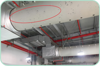 永利集团·304am(中国游)官方网站